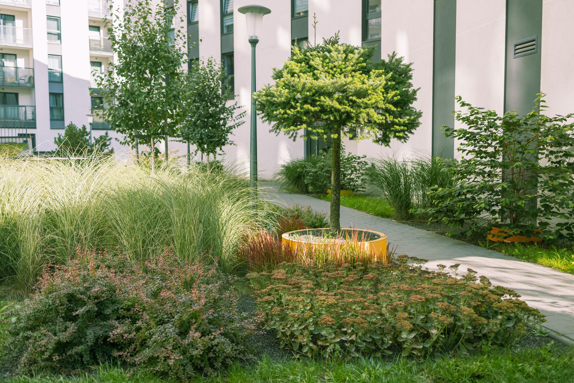 Urban garden apartment buildings. Herbs, flowers, and fruit plants grow on raised beds made of weathering steel. Nice green forest landscape in the city in Krakow, Poland.