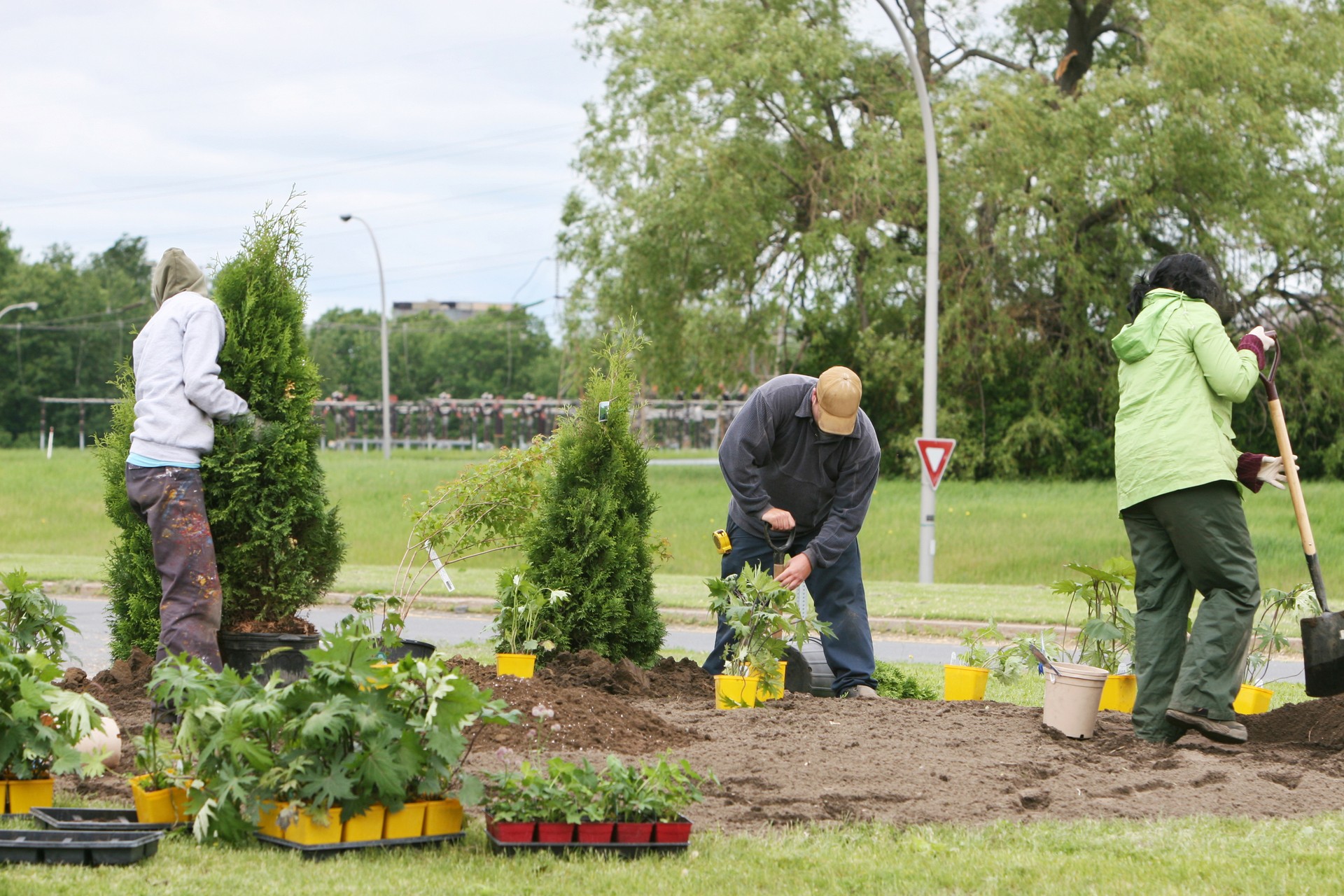 Spring planting