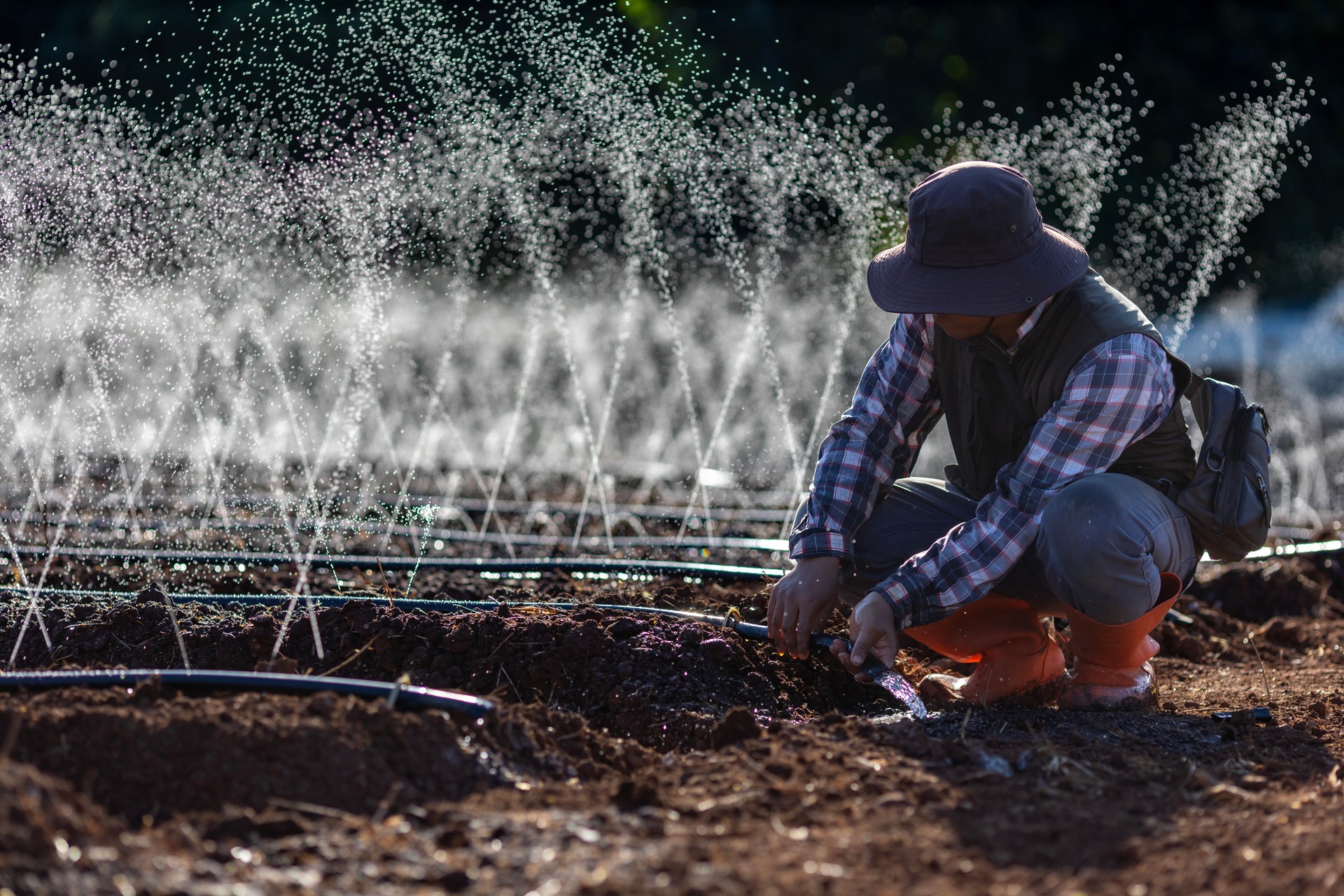 Asian farmer is fixing the clogged in the hose of irrigation watering system  growing organics plant during spring season and agriculture concept