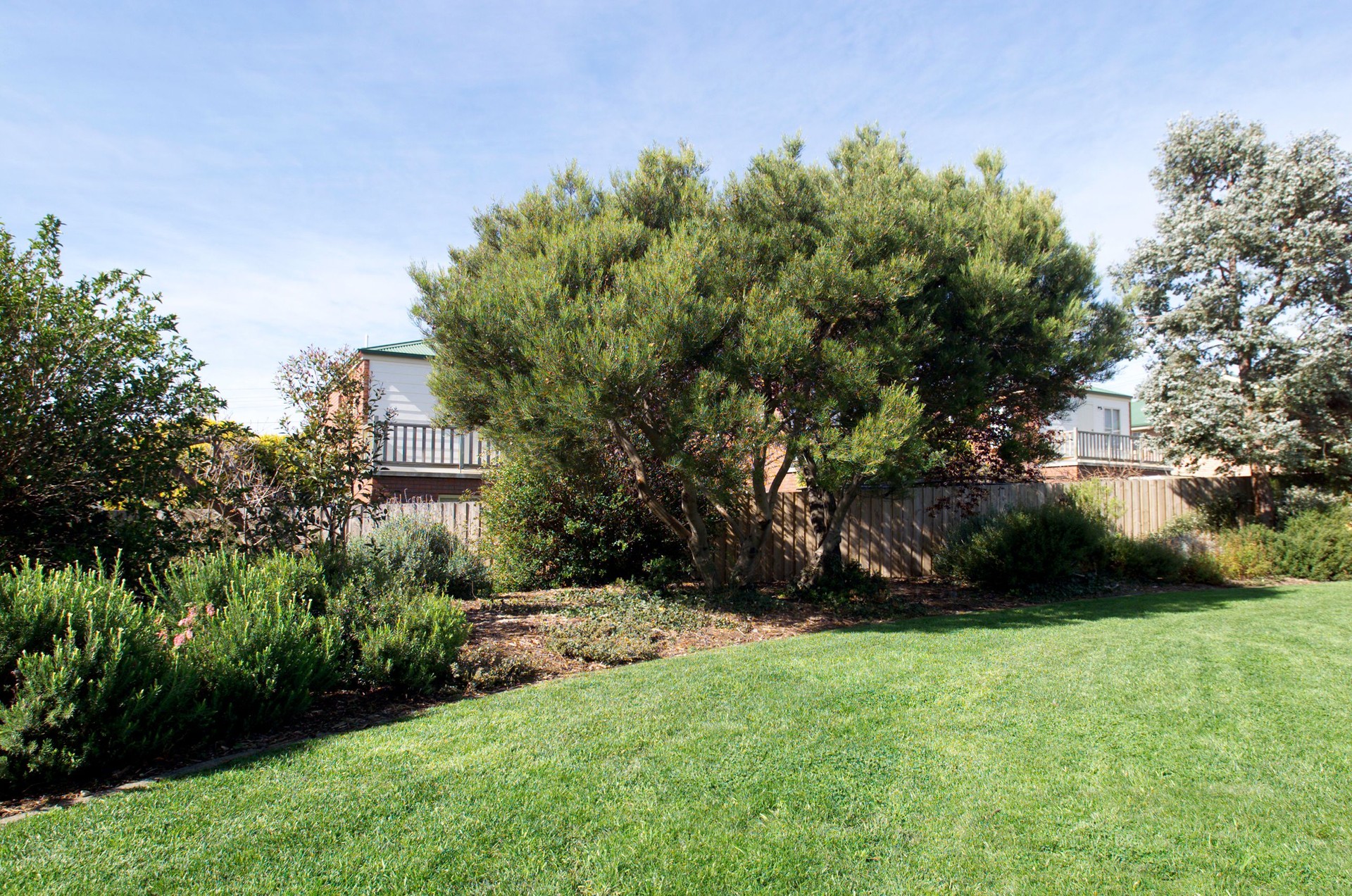 View of a suburban backyard garden